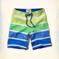   Hollister Emerald Bay Swim Shorts (333-340-0365-039) Size L