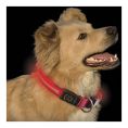   Nite Ize NiteDawng Led Dog Collar Small Red 25-33 cm (NND-03-10S)